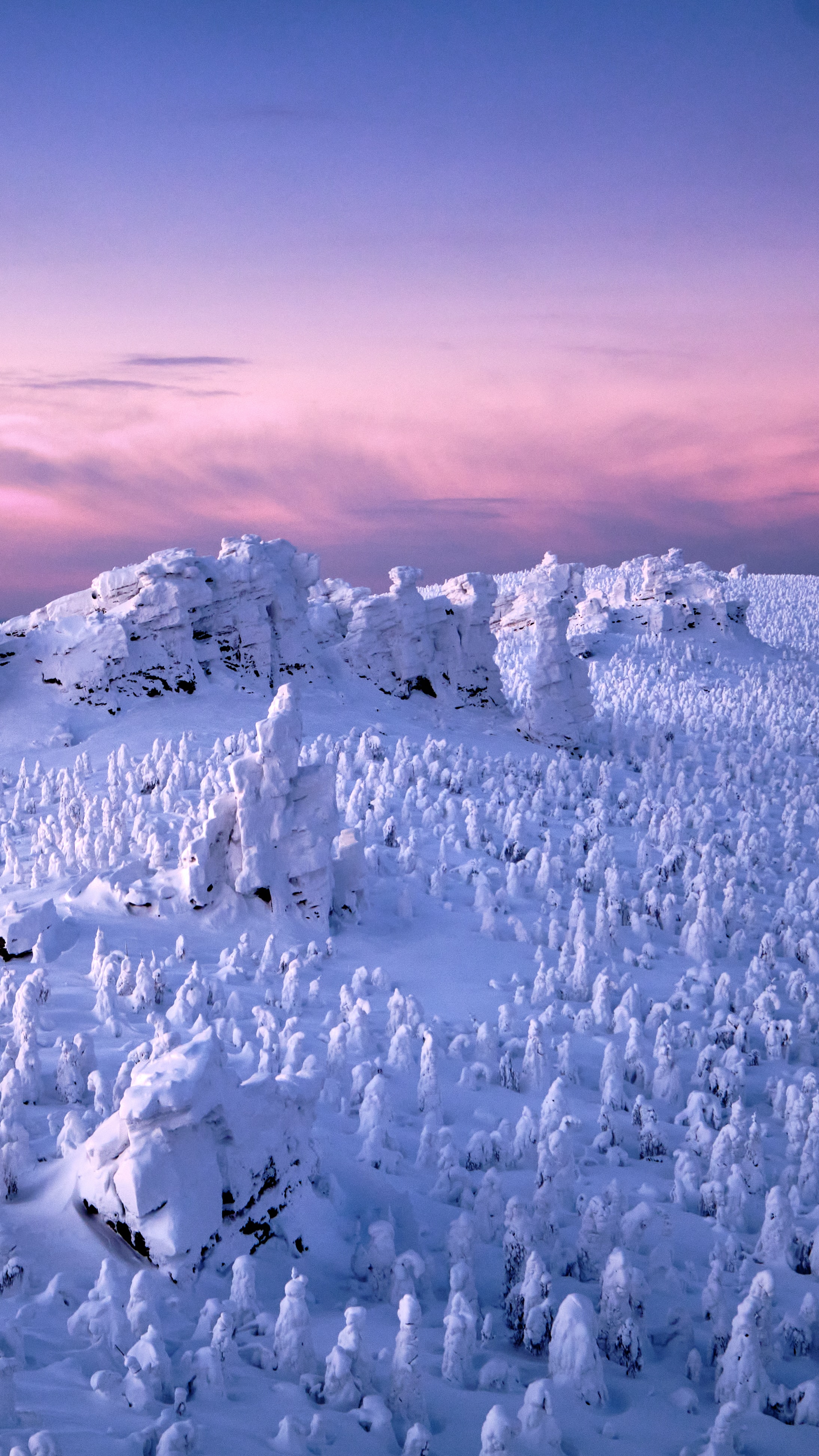 arctic landscape